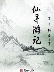 仙寻小说