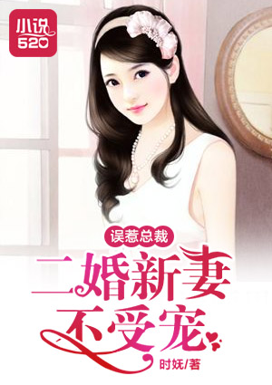 误惹总裁二婚新妻小说