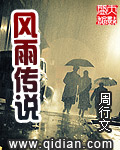 风雨传说中文版