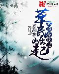 武道系统是什么