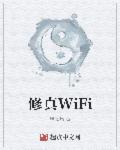 修真WiFi