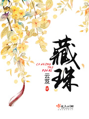 藏珠纳玉小说免费阅读