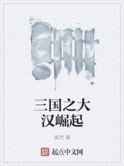 三国之大汉崛起刘禅小说免费阅读