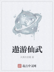 遨游中国2手机版中文